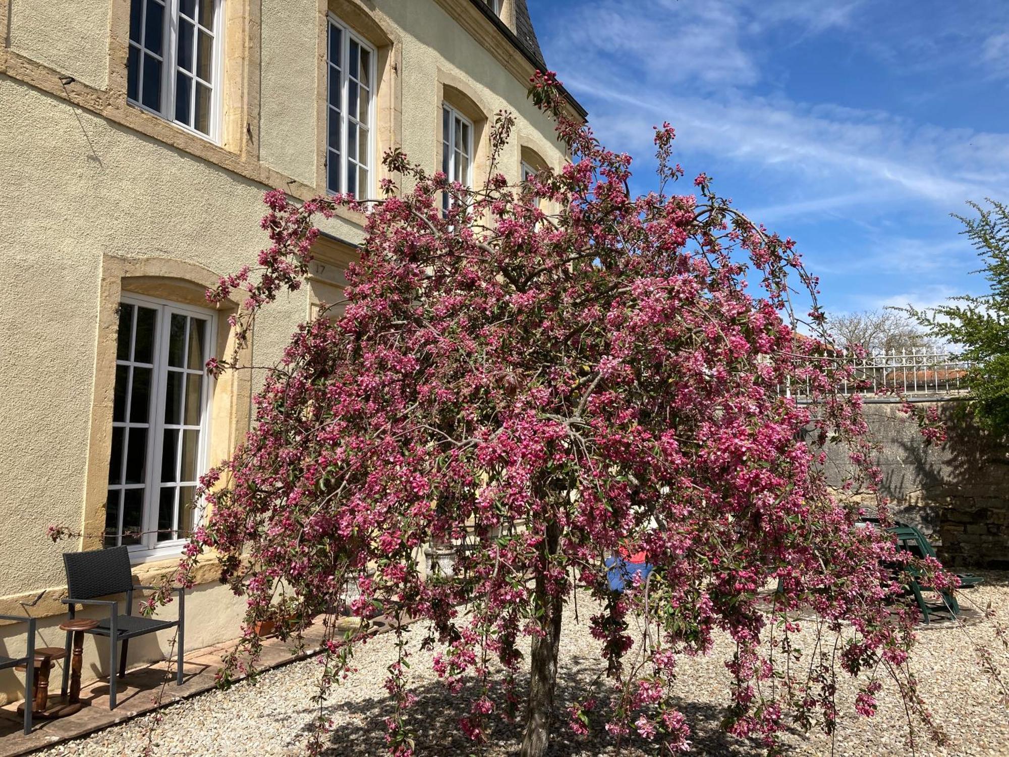 Maison Les Beaux Arts Mouzay  Eksteriør bilde